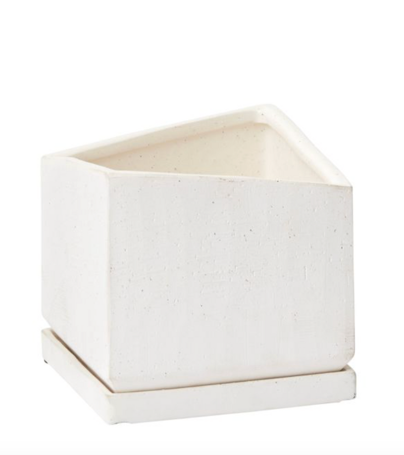 Planter / Tevy