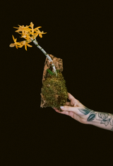 Workshop / Mounted Miniature Orchid
