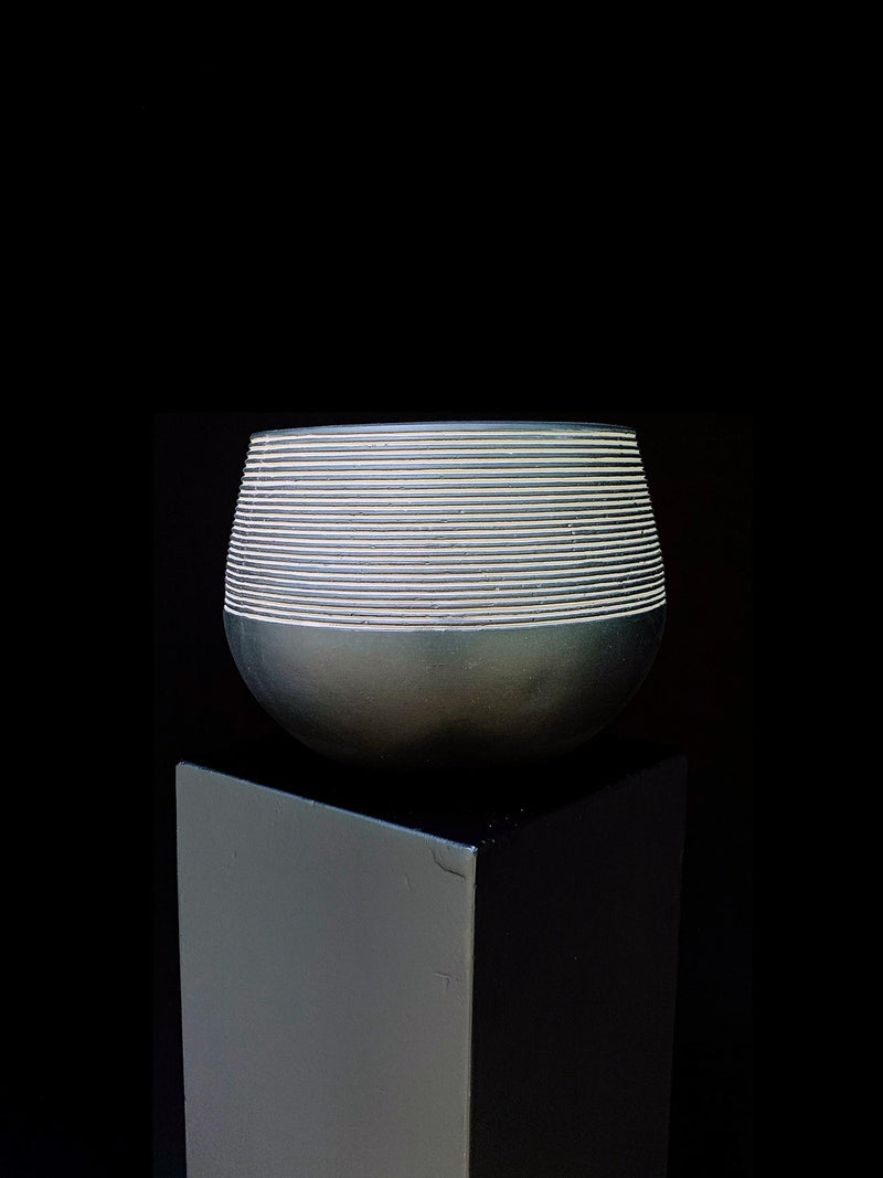 Planter / Revolution
